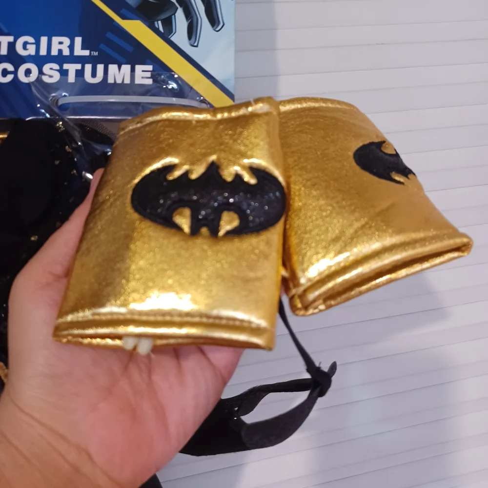 NWT.....DC Comics Batgirl Dress Costume, Compleat Set.